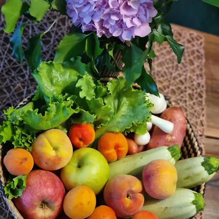 펜션 Kuca Mirne Duse Topola