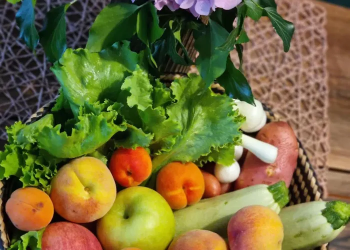 Nyaraló Kuca Mirne Duse Topola